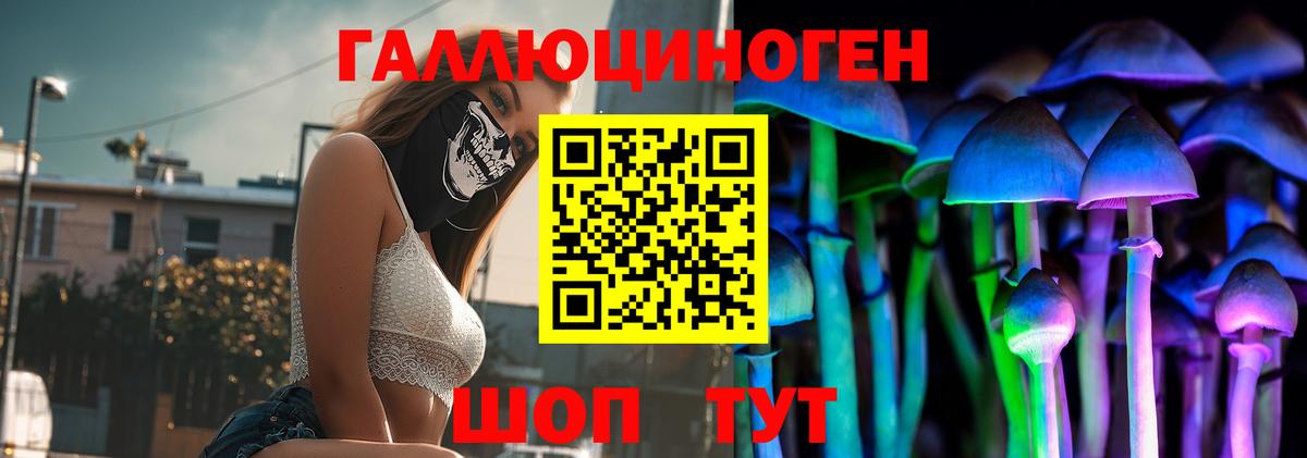 Камышин  Псилоцибиновые грибы MAGIC MUSHROOMS  Вход с VPN 